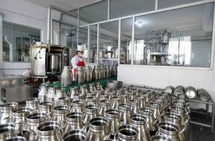 金正恩視察平壤兒童食品廠，鼓勵打造世界領先工廠